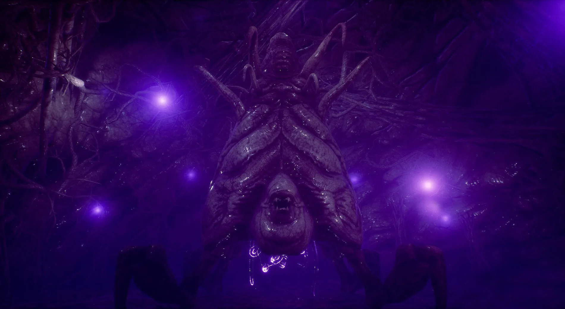 激情碰撞,德拉普豪言,再战巅峰切,世界杯比分,2026世界杯,实时比分,足球比分,赛事分析