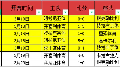 帕尔梅拉斯VS升班马：专家解析大乐透期号推荐
